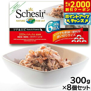 y2000~OFFN[|IX|Cgő52{I}\IzSchesiriVVAjLbgV[Y }`pbN ciGr 50g×6×8Zbg