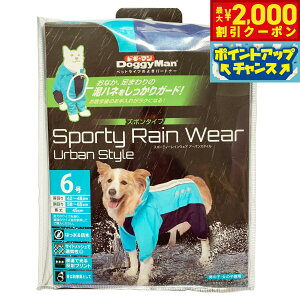 y2000~OFFN[|IX|Cgő52{I{IzhM[} X|[eB[CEFA A[oX^C 6 u[×lCr[yz  J Jbp