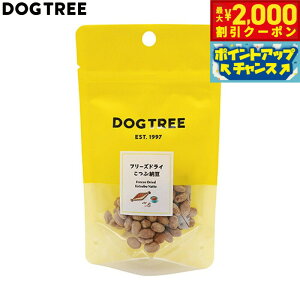 y2000~OFFN[|IX|Cgő52{I}\IzhbOc[ p t[YhC Ԕ[ S 10g Y Y