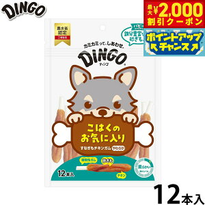 y2000~OFFN[|IX|Cgő52{I{IzfBS p Ȃ`LK 炩 12{ Dingo K  f^PA hbOg[c