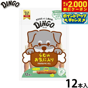 y2000~OFFN[|IX|Cgő52{I{IzfBS p Ȃ`LK 12{ Dingo K  f^PA hbOg[c