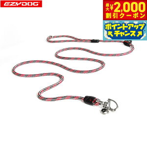 y2000~OFFN[|IX|Cgő52{I{IzC[W[hbO EZYDOG }[hCg 6mm bhyz `[N[h oRp[v