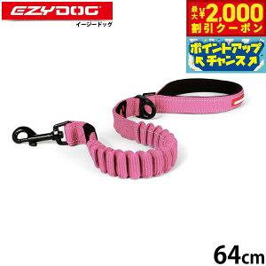 y2000~OFFN[|IX|Cgő52{I{IzC[W[hbO EZYDOG [VbN [h 64cm sN Lk VbNz