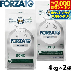 y2000~OFFN[|IX|Cgő52{I{IztHc@10 Forza10 hbOt[h GR[ANeBu ~fBA ̃PApHÖ@H 4kg×2 Y  