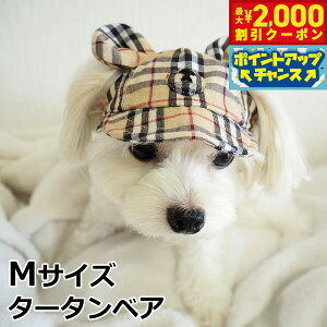 y2000~OFFN[|IX|Cgő52{I{Iz̖Xq K[fIuGf ܎CAP M ^[^xA   ^