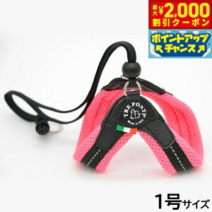 y2000~OFFN[|IX|Cgő52{I}\Izg|eB TREPONTI x^ \tgbV ^pn[lX 1 sN