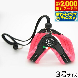 y2000~OFFN[|IX|Cgő52{I}\Izg|eB TREPONTI x^ \tgbV ^pn[lX 3 sN