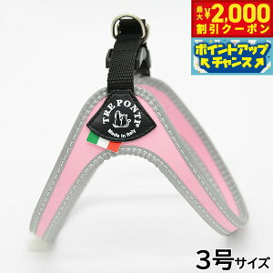 y2000~OFFN[|IX|Cgő52{I{Izg|eB TREPONTI tBbrA tNeBu ^pn[lX 3 sN