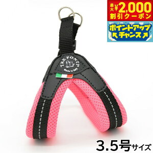 y2000~OFFN[|IX|Cgő52{I}\Izg|eB TREPONTI tBbrA \tgbV ^pn[lX 3.5 sN