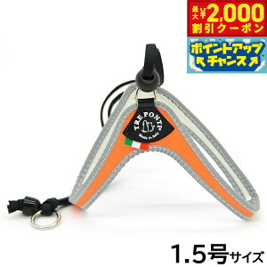 y2000~OFFN[|IX|Cgő52{I}\Izg|eB TREPONTI x^ tI ^pn[lX 1.5 IW