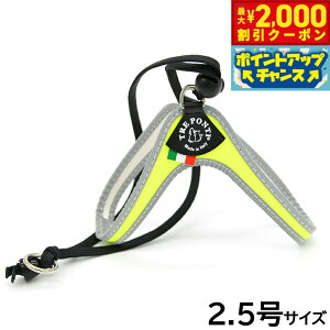 y2000~OFFN[|IX|Cgő52{I{Izg|eB TREPONTI x^ tI ^pn[lX 2.5 CG[