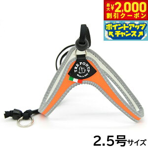 y2000~OFFN[|IX|Cgő52{I}\Izg|eB TREPONTI x^ tI ^pn[lX 2.5 IW