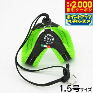 y2000~OFFN[|IX|Cgő52{I{Izg|eB TREPONTI x^ \tgbV ^pn[lX 1.5 O[