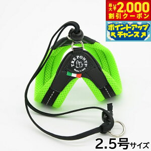 y2000~OFFN[|IX|Cgő52{I{Izg|eB TREPONTI x^ \tgbV ^pn[lX 2.5 O[