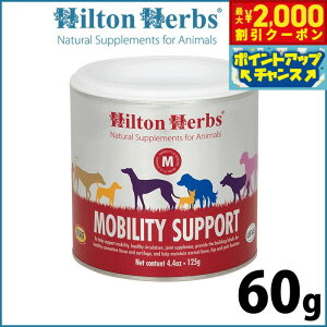 y2000~OFFN[|IX|Cgő52{I{Izqgn[u reB T|[g 60g Tvg n[u ֐߂̃T|[g