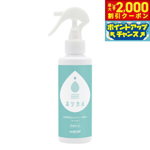 y2000~OFFN[|IX|Cgő52{I}\IzzVJ p[VSH 150ml XLPA уPA PA