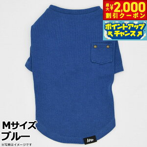 y2000~OFFN[|IX|Cgő52{I{Iz}nb^ EH[L[^C MANHATTAN WALKY TIMEI jbgTVc M u[   hbOEFA Rbg n |Pbgt H~