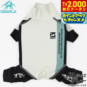 y2000~OFFN[|IX|Cgő52{I{IzWEH[N GEWALK gR[ J[ vg veNg Xgb` p[X 2L O[  hbOEFA ybgEFA