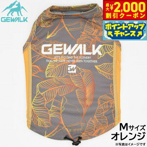 y2000~OFFN[|IX|Cgő52{I{IzWEH[N GEWALK [t vg ANeBu N[O ^Ngbv M IW  hbOEFA ybgEFA