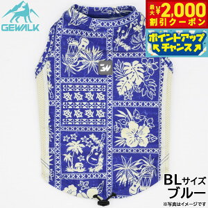 y2000~OFFN[|IX|Cgő52{I{IzWEH[N GEWALK nCA pb`[N vg ANeBu TVF[h ^Ngbv BL u[  hbOEFA ybg