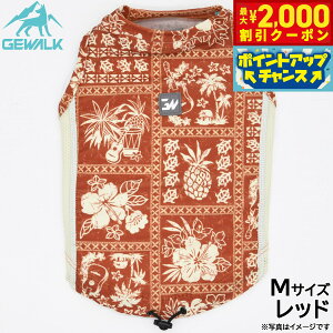 y2000~OFFN[|IX|Cgő52{I{IzWEH[N GEWALK nCA pb`[N vg ANeBu TVF[h ^Ngbv M bh  hbOEFA ybgE