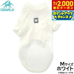 y2000~OFFN[|IX|Cgő52{I{IzWEH[N GEWALK h K[h}bNX ANeBu TVc M zCg  hbOEFA ybgEFA 悯