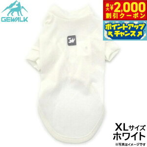 y2000~OFFN[|IX|Cgő52{I{IzWEH[N GEWALK h K[h}bNX ANeBu TVc XL zCg  hbOEFA ybgEFA 悯