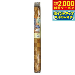 y2000~OFFN[|IX|Cgő52{I{IzaOrA ybgph L h}bg INSF-01 65×90cm CguE