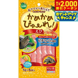 y2000~OFFN[|IX|Cgő52{I{Iz}J ߂߂҂[  5g×6{