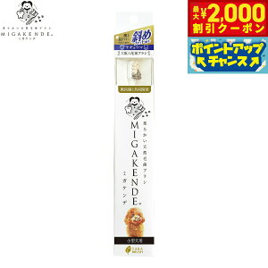 y2000~OFFN[|IX|Cgő52{I{IzMIGAKENDE _炩VRюuV ~KPf ΂߃JbgAсiME}j ^p