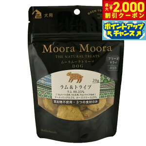 y2000~OFFN[|IX|Cgő52{I{Iz[[ t[YhCg[c p gCv 20g   Y ӂ肩 gbsO sgp OCt