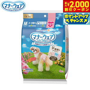 y2000~OFFN[|IX|Cgő52{I{Izj `[ }i[EFA ̎qp 4̃fUCpbN M 4