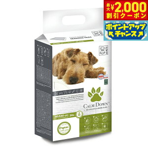 y2000~OFFN[|IX|Cgő52{I{IzM-PETS Gybc CALM DOWN ybgV[c Ch 50  ybgV[g gCV[g V[g ^ L ĝ w\