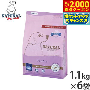 y2000~OFFN[|IX|Cgő52{I{Izi`n[xXg hbOt[h tbNX ΃PApHÖ@H 1.1kg×6܃Zbgyz Y p {p