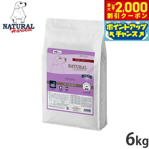 y2000~OFFN[|IX|Cgő52{I{Izi`n[xXg hbOt[h tbNX ΃PApHÖ@H 6kgyz Y p {p