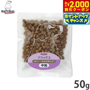 y2000~OFFN[|IX|Cgő52{I{Izi`n[xXg hbOt[h tbNX ΃PApHÖ@H 50g Y p {p