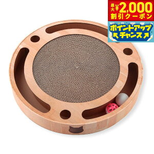 y2000~OFFN[|IX|Cgő52{I{IzL oopbh RR{[ L ܂Ƃ ܂݂  _{[ ی^