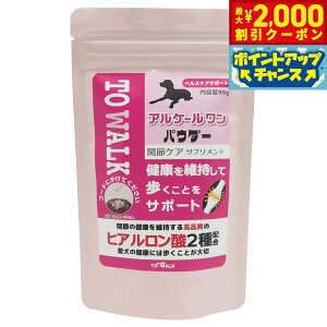 y2000~OFFN[|IX|Cgő52{I{Izj`hE Tvg AP[pE_[ 90g Y ֐߃PA