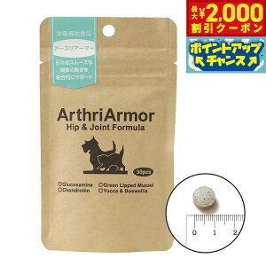 y2000~OFFN[|IX|Cgő52{I{IzlC`[xbg Tvg A[XA[}[ 30ipj֐ߗp ORT~ RhC` ΃CL