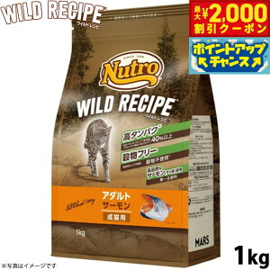 y2000~OFFN[|IX|Cgő52{I{Izj[g Lbgt[h ChVs A_g T[ Lp 1kg t[ OCt[ Y i`Lp