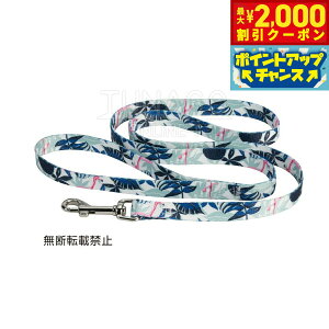 y2000~OFFN[|IX|Cgő52{I{IzIb| OPPO ciS TUNAGO Tu[V[h Sublimation Lead SubM Lead S v[p[eB-C