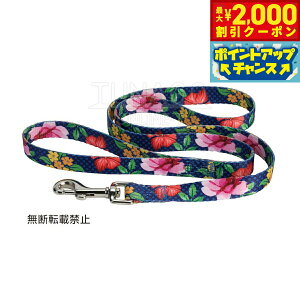 y2000~OFFN[|IX|Cgő52{I{IzIb| OPPO ciS TUNAGO Tu[V[h Sublimation Lead SubM Lead M t[