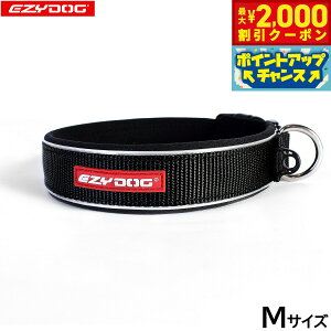 y2000~OFFN[|IX|Cgő52{I{IzC[W[hbO EZYDOG lIJ[ M ubN  EFbgX[cf  ^