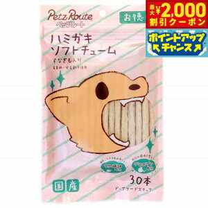 y2000~OFFN[|IX|Cgő52{I{Izybc[g n~KL\tg`[ Ȃ p   K  30{