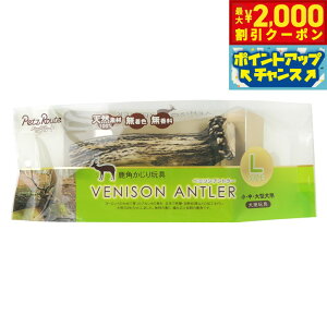 y2000~OFFN[|IX|Cgő52{I}\Izybc[g xj\Ag[ L p  ̊p