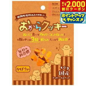 y2000~OFFN[|IX|Cgő52{I}\Izybc[g NbL[ ڂ 40g   Y Y  J[ Oet[ H@ Ă