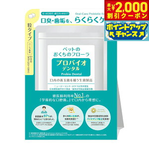 y2000~OFFN[|IX|Cgő52{I{Izv~A[h voCIf^i L pj 60