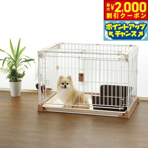 y2000~OFFN[|IX|Cgő52{I{Izb`F Richell |ȒPybgP[W900 uE  P[W T[N  ` ^ ^ XCh ^b`