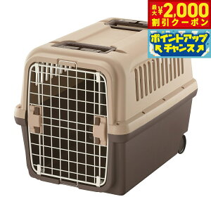 y2000~OFFN[|IX|Cgő52{I{Izb`F Richell LsOL[ L _[NuE  ybgL[ N[g nEX ^ n[h 􂢉 LX^