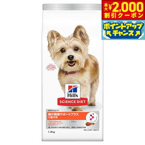 y2000~OFFN[|IX|Cgő52{I}\IzTCGX _CGbg ^p ̌NT|[gvX 1Έȏ̐  `L 1.3kg qY hbOt[h hCt[